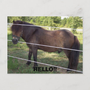 CARTE POSTALE 100_0376, BONJOUR ! !