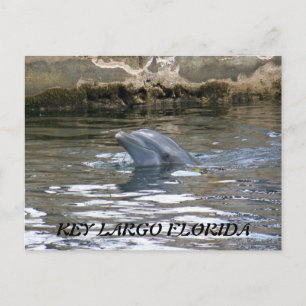 CARTE POSTALE 100_8578, FLORIDE KEY LARGO