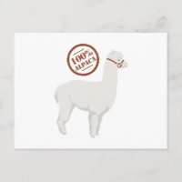 100% Alpaca