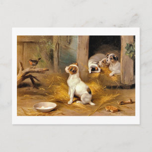 Carte Postale 13a Les Chiots