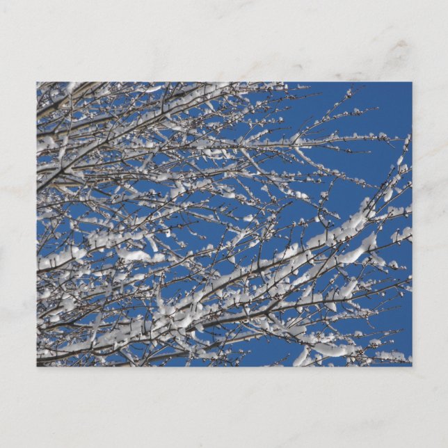 CARTE POSTALE 14 (Devant)