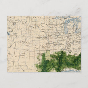 Carte Postale 165 Coton/mille²