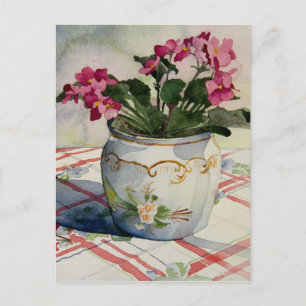 Carte Postale 1790 Violets africains en carton postal bleu