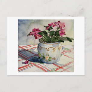 Carte Postale 1790 Violets africains en carton postal bleu