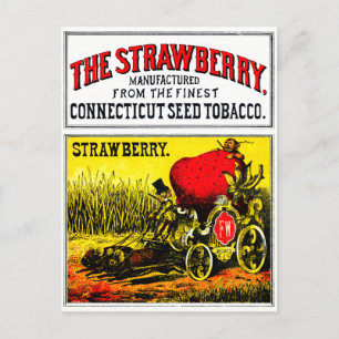 Carte Postale 1874 Le Cigar Aux Fraises