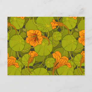 Carte Postale 1896 Victorian Nasturtium Floral