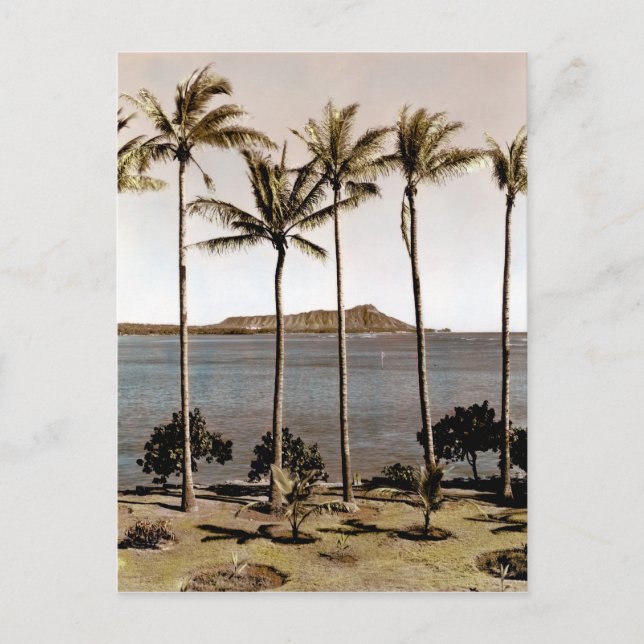 Carte Postale 1940 Diamond Head Hawaii (Devant)