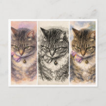 1 Humeur + 3 Ambianœuvres = Purrfection totale