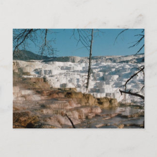 Carte Postale 2003 - Yellowstone 01