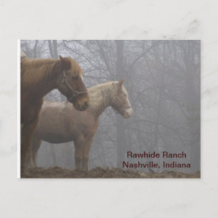 Carte Postale 20071221_0021_r1, Rawhide RanchNashville, Indiana