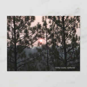 Carte Postale 2018 Carr Fire Sunrise...