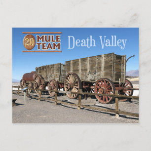 Carte Postale 20 chariots d'équipe, Death Valley, Californie