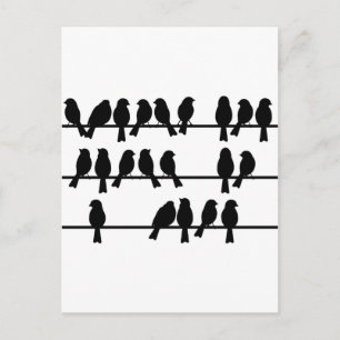 Carte Postale 21 Oiseaux Sur Un Fil