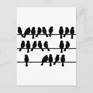 Carte Postale 21 Oiseaux Sur Un Fil