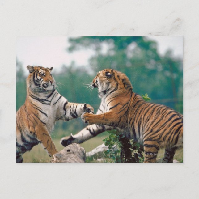 CARTE POSTALE 23899157 (Devant)