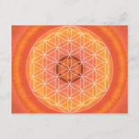 2 Chakra Flower of Life orange