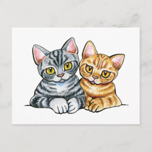 Carte Postale 2 Shorthairs américains
