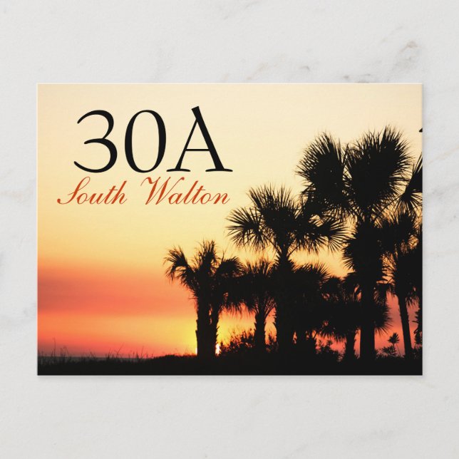 Carte Postale 30A - Coucher de soleil de palmier Walton Sud (Devant)