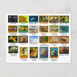 Carte Postale 31 mars 2018, page d'index, 24 pack