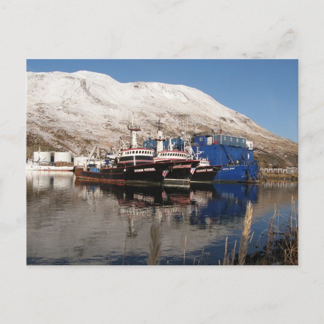 Carte Postale 3 chalutiers à l'Icicle Barge (Devant)