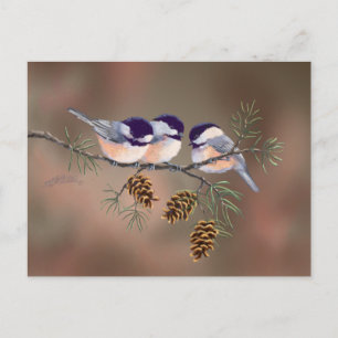 Carte Postale 3 POULET & PINE CONES par SHARON SHARPE
