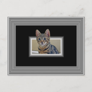 CARTE POSTALE 3D KITTY