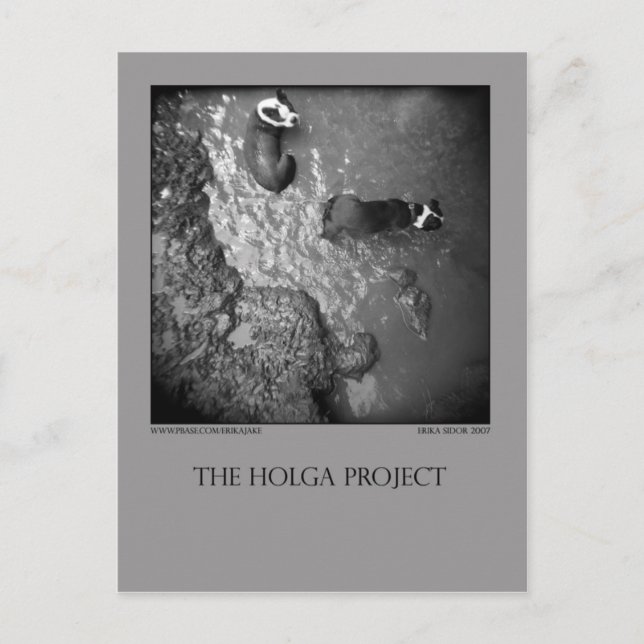 Carte postale 4 (Devant)