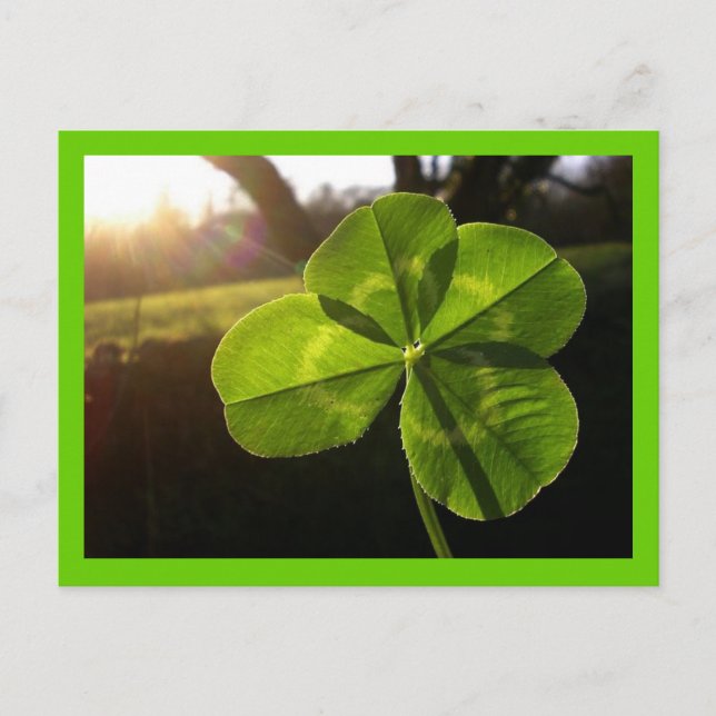 Carte postale 4 feuilles (Devant)
