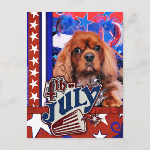 Carte Postale 4 juillet - Cavalier King Charles Spaniel - Cooper