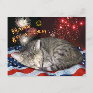 Carte Postale 4 juillet Chat et feux d'artifice