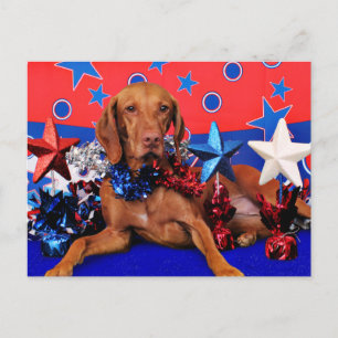 Carte Postale 4 juillet - Vizsla - Reagan