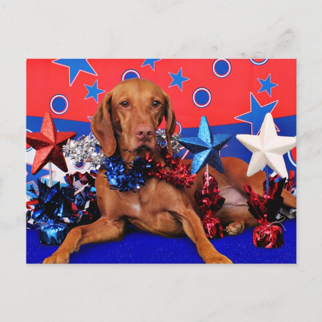 Carte Postale 4 juillet - Vizsla - Reagan (Devant)
