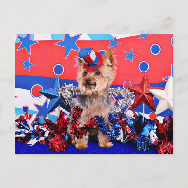 Carte Postale 4 juillet - Yorkie - Vinnie (Devant)