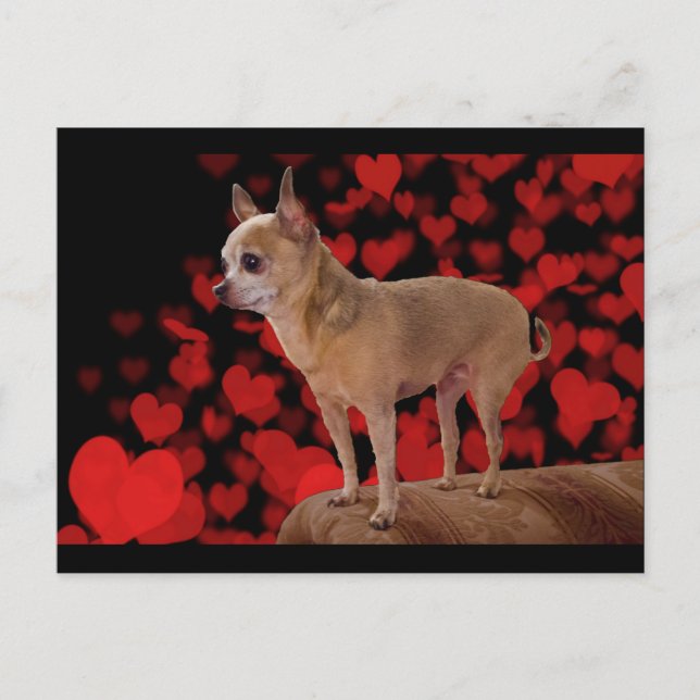 Carte Postale 4 livres de Pure Love (Devant)