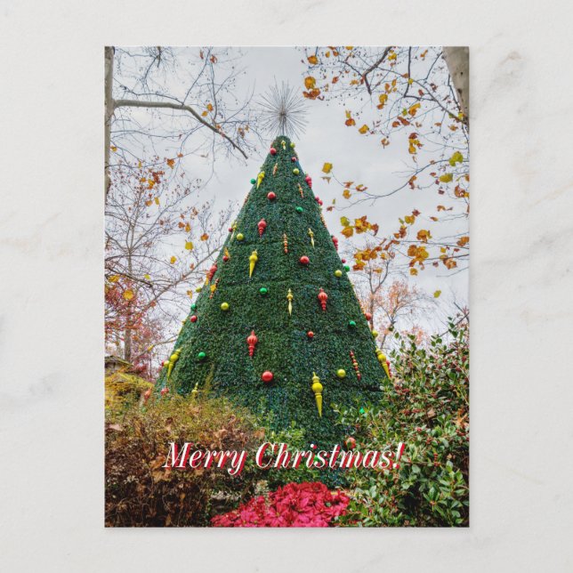 Carte Postale 5 Story Sdc Tree Christmas Postcard (Devant)