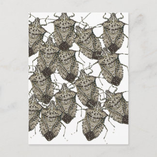 Carte Postale 6-07-14 bogues puants rev.png
