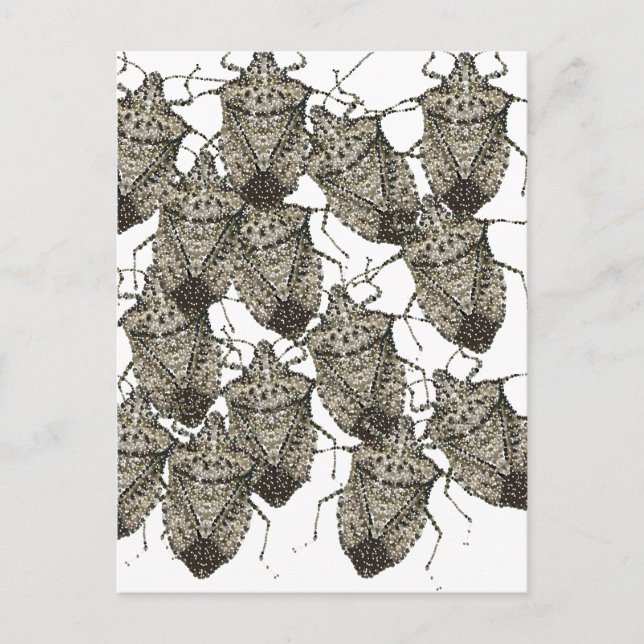 Carte Postale 6-07-14 bogues puants rev.png (Devant)