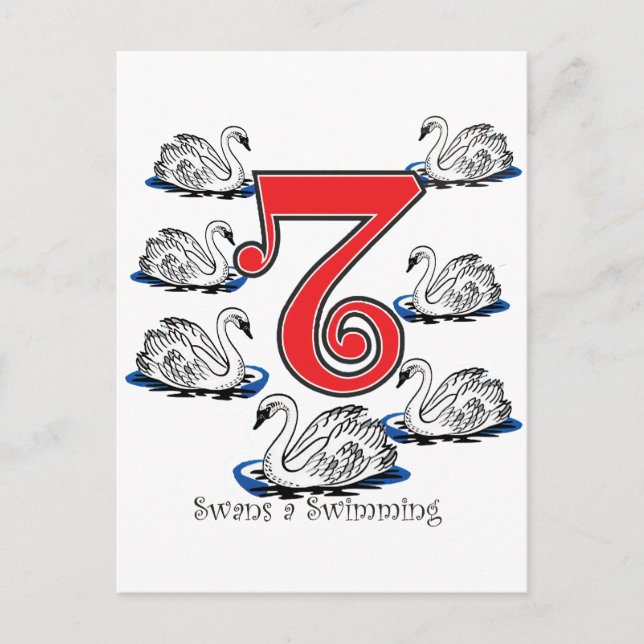 Carte Postale 7 Swans Natation (Devant)