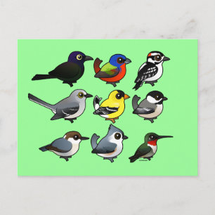 Carte Postale 9 Oiseaux de Jardin du sud-est des États-Unis