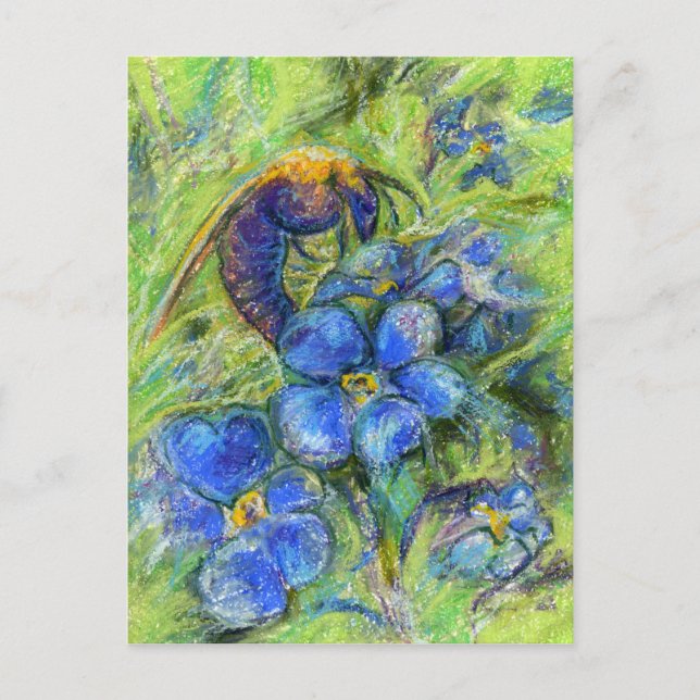 Carte Postale A Bee & Forget-me-not Flowers (Devant)