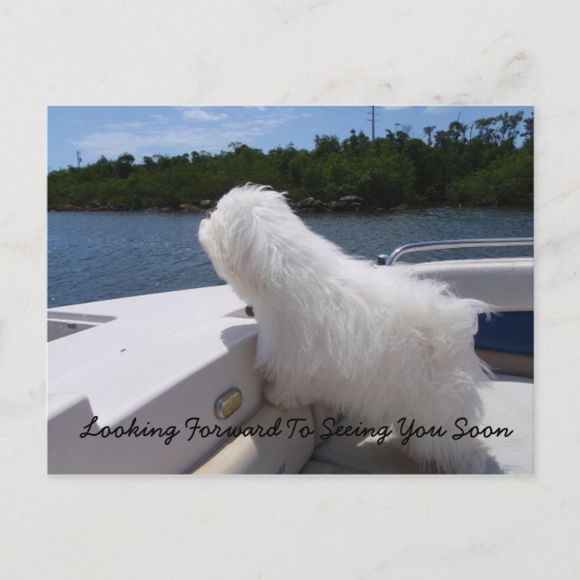 Carte Postale À Bientôt (Devant)