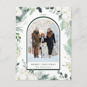 Carte Postale À feuillage persistant & Fleurs de coton Arch Phot