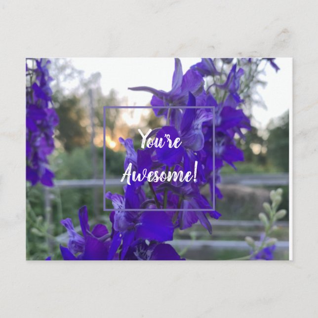 Carte postale à fleurs violettes (Devant)