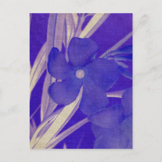 Carte postale à fleurs violettes