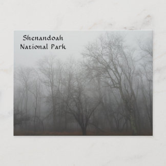 Carte Postale A foggy day on the Skyline Drive in Virginia