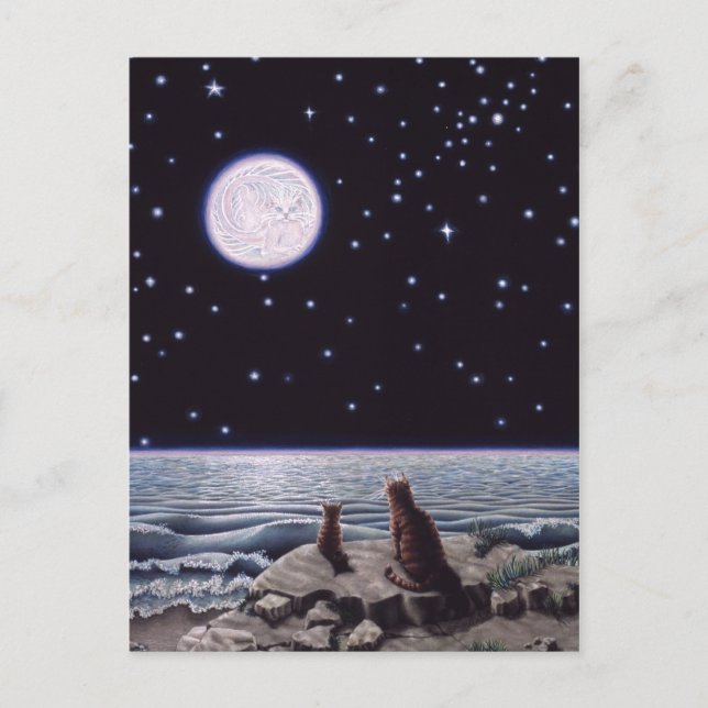 Carte Postale À la lumière de la lune de poisson de chat (Devant)