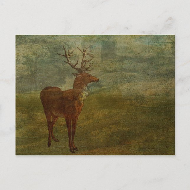 Carte Postale A la recherche de Landseer (Devant)