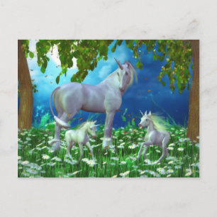 Carte postale à la recherche de papillons