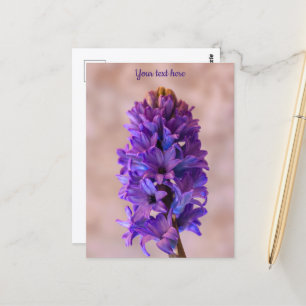 Carte postale à l'hyacinthe bleue