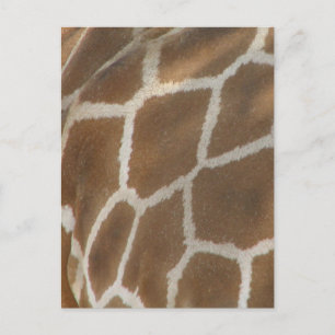 Carte postale à motif de girafe